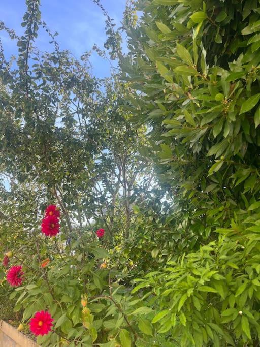 Holiday home Charmante Maison Proche Colleville-Montgomery